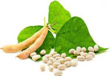 Чем полезна белая фасоль, сколько ее варить и как приготовить вкусно Фасоль белая польза и вред