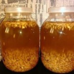 Чем полезен квас из овса — приготовление в домашних условиях для похудения квас из овса в домашних условиях польза и вред