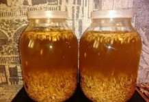 Чем полезен квас из овса — приготовление в домашних условиях для похудения квас из овса в домашних условиях польза и вред