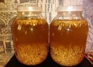 Чем полезен квас из овса — приготовление в домашних условиях для похудения квас из овса в домашних условиях польза и вред