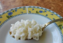 Молочный гриб: полезные свойства и противопоказания, отзывы о народном средстве Молочный гриб