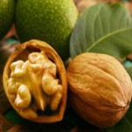 Дерево — грецкий орех: польза и вред для организма листьев, масла и настойки на перепонках грецкие орехи польза и вред для организма