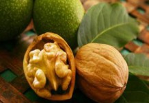 Дерево — грецкий орех: польза и вред для организма листьев, масла и настойки на перепонках грецкие орехи польза и вред для организма