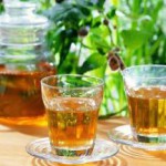 Почечный чай при беременности — инструкция по применению ортосифона почечный чай инструкция по применению