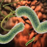 Kак быстро избавиться от паразитов в печени и организме, самому в домашних условиях как избавиться от паразитов