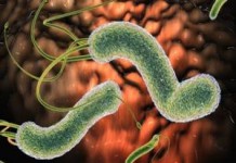 Kак быстро избавиться от паразитов в печени и организме, самому в домашних условиях как избавиться от паразитов