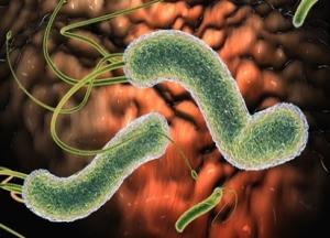 Kак быстро избавиться от паразитов в печени и организме, самому в домашних условиях как избавиться от паразитов