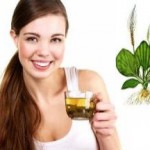 Шелуха, оболочка и семена подорожника: лечебные свойства и противопоказания для мужчин семена подорожника лечебные свойства и противопоказания