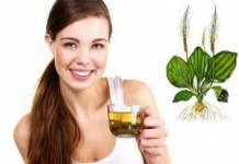 Шелуха, оболочка и семена подорожника: лечебные свойства и противопоказания для мужчин семена подорожника лечебные свойства и противопоказания