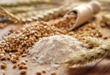 Толокно: полезные свойства и противопоказания к употреблению Толокно