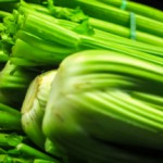 Стебли сельдерея: полезные свойства и возможные противопоказания Стебли сельдерея