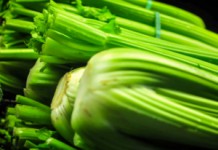 Стебли сельдерея: полезные свойства и возможные противопоказания Стебли сельдерея
