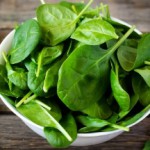 Шпинат: польза и вред травянистого растения Шпинат