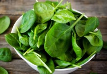 Шпинат: польза и вред травянистого растения Шпинат