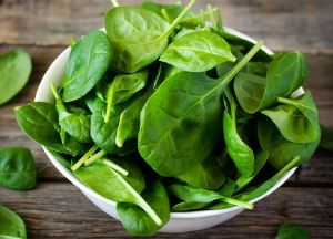 Шпинат: польза и вред травянистого растения Шпинат