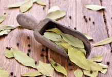 Лавровый лист: польза и вред известной приправы Лавровый лист