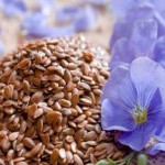 Целебные свойства семян льна: рецепты, польза и вред, противопоказания семена льна польза и вред как принимать