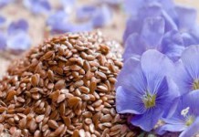 Целебные свойства семян льна: рецепты, польза и вред, противопоказания семена льна польза и вред как принимать