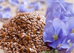 Целебные свойства семян льна: рецепты, польза и вред, противопоказания семена льна польза и вред как принимать