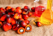 Вред и польза пальмового масла: как его можно использовать? Пальмовое масло