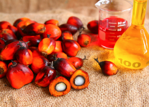 Вред и польза пальмового масла: как его можно использовать? Пальмовое масло