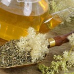 Таволга: полезные свойства и противопоказания, способы применения травы Трава таволга