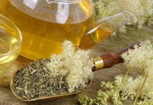 Таволга: полезные свойства и противопоказания, способы применения травы Трава таволга