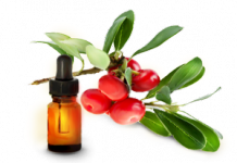 Трава толокнянка: лечебные свойства и противопоказания толокнянка лечебные свойства и противопоказания фото