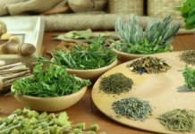 Чистка сосудов народными средствами — травы улучшающие мозговое кровообращение какие травы чистят сосуды и улучшают мозговое кровообращение