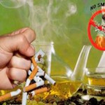 Как принимать монастырский чай от курения: развод или правда, отзывы монастырский чай от курения развод или правда