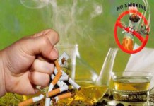 Как принимать монастырский чай от курения: развод или правда, отзывы монастырский чай от курения развод или правда