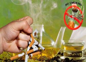 Как принимать монастырский чай от курения: развод или правда, отзывы монастырский чай от курения развод или правда