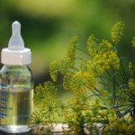 Укропная водичка для новорожденных, как приготовить в домашних условиях укропная водичка