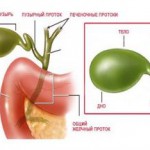 Лечение полипов и воспаления желчного пузыря народными средствами в домашних условиях камни в желчном пузыре лечение народными средствами