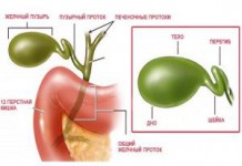 Лечение полипов и воспаления желчного пузыря народными средствами в домашних условиях камни в желчном пузыре лечение народными средствами