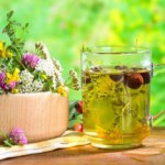 Самые эффективные народные средства при лечении гастрита, расстройства и опущения желудка самые эффективные народные средства лечения желудка