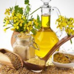 Трава, зелень и семена горчицы — польза и вред для здоровья организма горчица польза и вред для организма