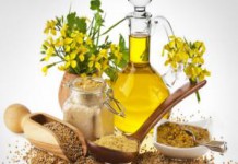 Трава, зелень и семена горчицы — польза и вред для здоровья организма горчица польза и вред для организма