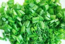 Перья зеленого лука: польза и вред для организма зеленый лук польза и вред