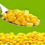 Польза кукурузы консервированной для организма, калорийность, как консервировать в домашних условиях кукуруза консервированная польза и вред