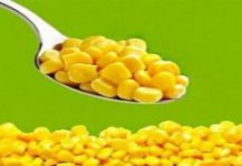 Польза кукурузы консервированной для организма, калорийность, как консервировать в домашних условиях кукуруза консервированная польза и вред