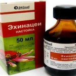 Пурпурная настойка эхинацеи: инструкция по применению настойка эхиноцеи показания к применению