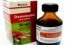 Пурпурная настойка эхинацеи: инструкция по применению настойка эхиноцеи показания к применению