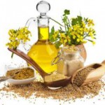 Масло горчичное нерафинированное: польза и вред, лечебные свойства для организма горчичное масло полезные свойства и противопоказания