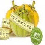 Инструкция по применению Гарцинии камбоджийской для похудения — полезные свойства и противопоказания гарциния камбоджийская для похудения отзывы инструкция