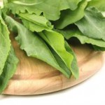 Щавель: польза и вред при беременности и для детей щавель польза и вред