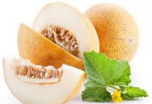 Что такое дыня — это ягода или фрукт, польза и вред для здоровья дыня это ягода или фрукт