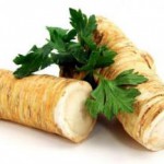 Полезные свойства и противопоказания хрена для здоровья мужчин и женщин хрен польза и вред для здоровья