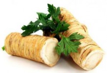 Полезные свойства и противопоказания хрена для здоровья мужчин и женщин хрен польза и вред для здоровья