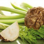 Листья, стебли черешки и корень сельдерея — полезные свойства и противопоказания, суточная норма сельдерей фото полезные свойства